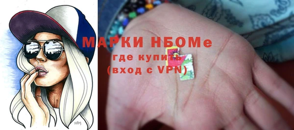 индика Рославль