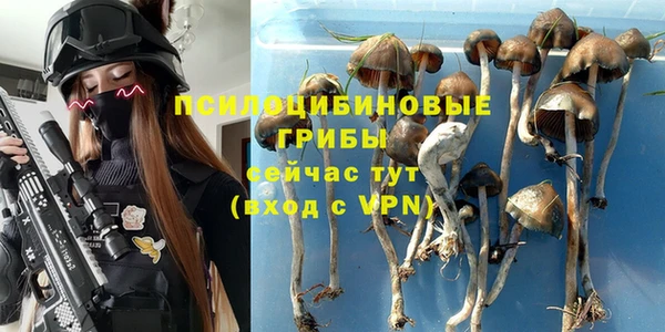 ПСИЛОЦИБИНОВЫЕ ГРИБЫ Богородск