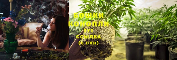 ПСИЛОЦИБИНОВЫЕ ГРИБЫ Богородск